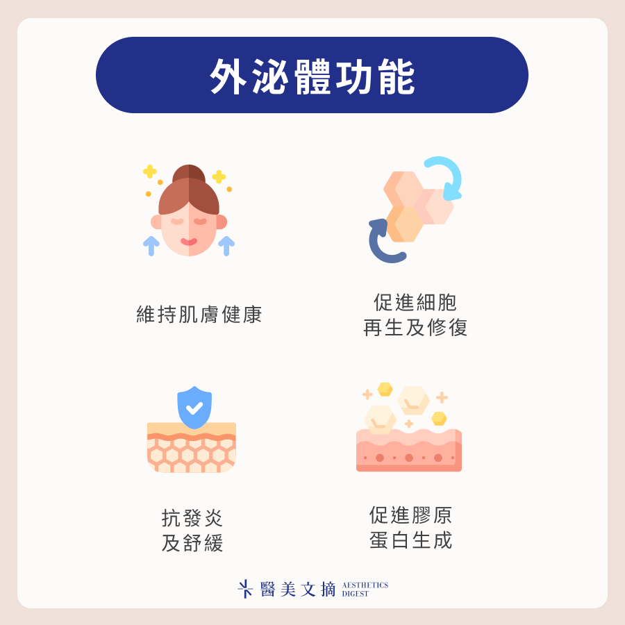 外泌體功效