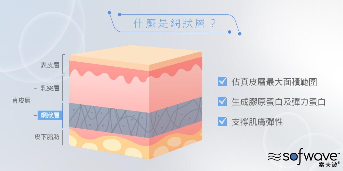 Sofwave索夫波 什麼是肌膚網狀層
