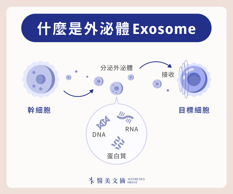 外泌體運作方式